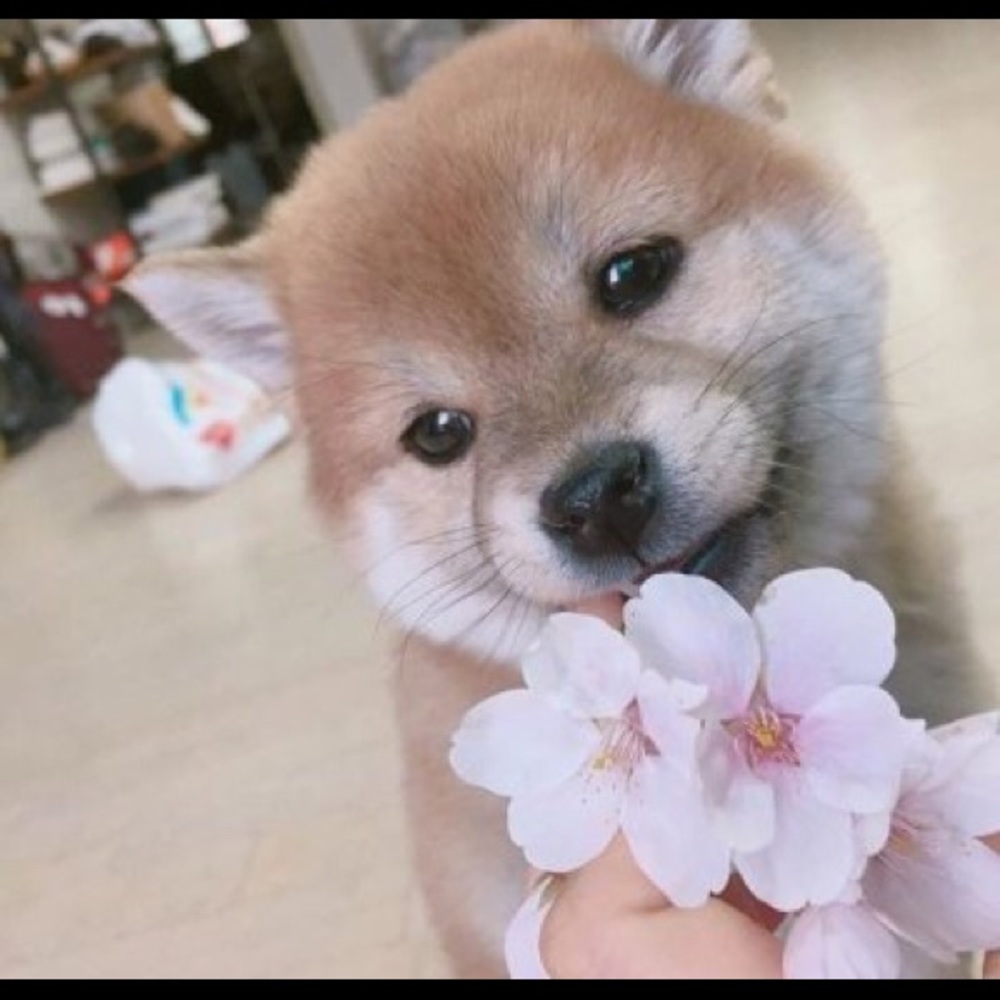 Meet your Posher, Catherine